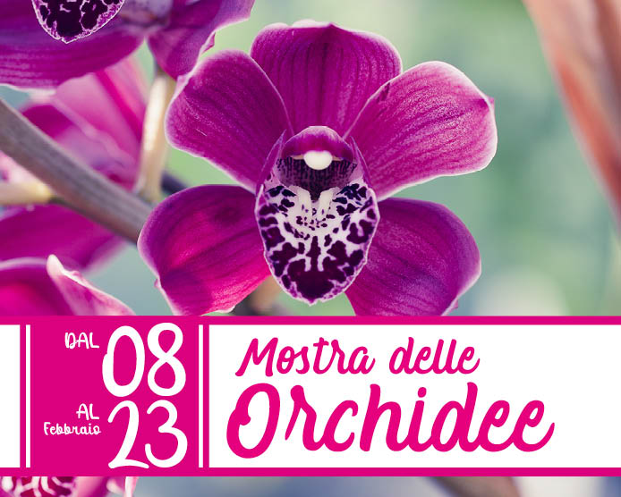 Mostra Orchidee